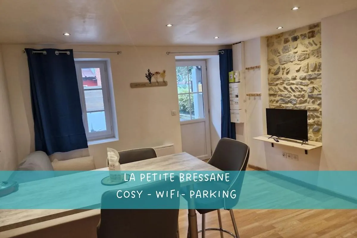La Petite Bressane Apartment Bourg-en-Bresse